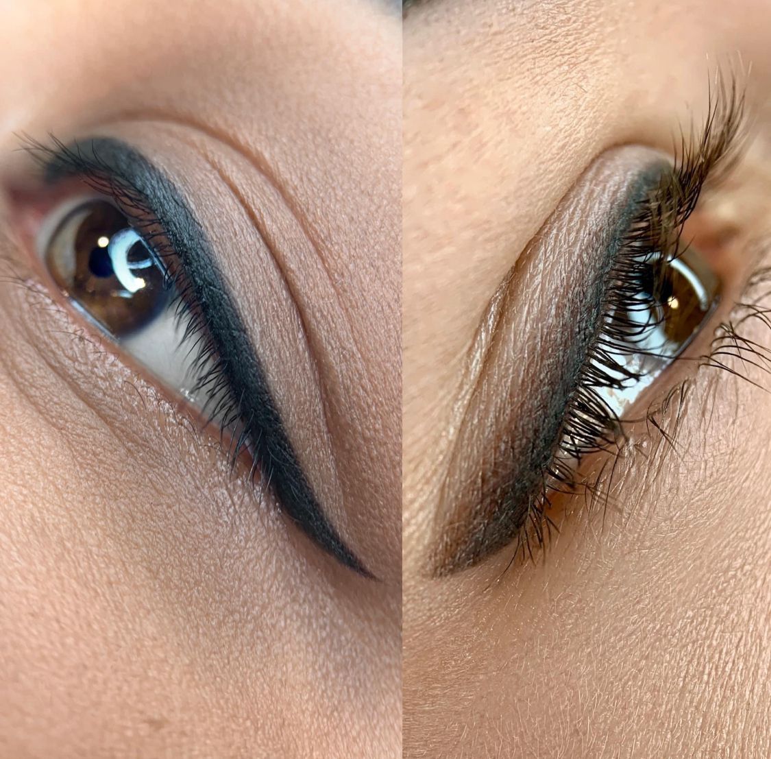 c64ff10a-dd2b-4bf6-8c50-4fef03ae52cb